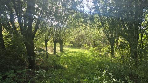 Wandelen bij Helvoirt: in de voetsporen van Van Gogh door het Brabantse landschap