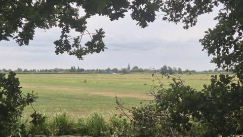 Wandelen bij Willeskop: een rustige natuurwandeling door het Groene Hart