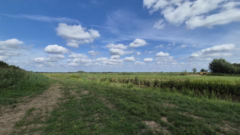 Wandelen bij Willeskop: een rustige natuurwandeling door het Groene Hart