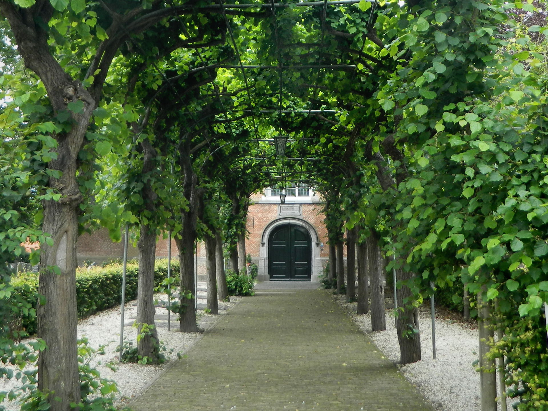 TreeCoveredWalkway.jpg